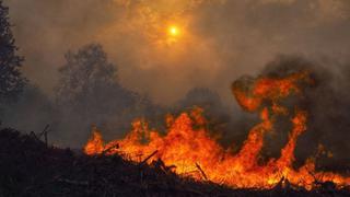 Las impactantes imágenes de Galicia en llamas [VIDEOS]