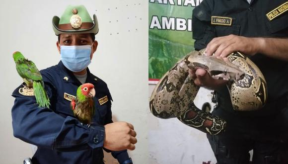 Estas especies son comercializadas en el mercado negro (Foto: PNP)