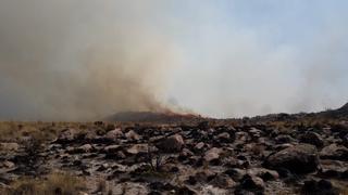 Incendios en faldas de volcanes de Arequipa dañó 700 hectáreas | FOTOS y VIDEO