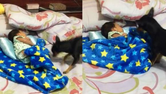 El bebe estaba acostado sobre la cama de sus padres y estaba medio descubierto, así que el pequeño animal saltó sobre la misma para arroparlo. (Foto: Facebook)