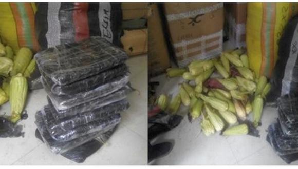 El cargamento ilegal había sido escondido en dos sacos de polietileno que contenían “23 paquetes forrados con bolsas plásticas, camuflados con vegetales (choclos)”, precisó la policía de Tayabamba, localidad andina ubicada a más de 15 horas de Trujillo (Foto: PNP)