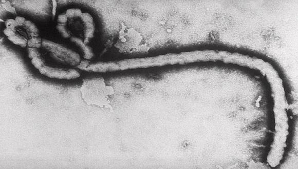 OMS confirma cinco muertes por Ébola en Sierra Leona