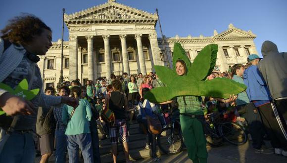 Uruguay: Extremarán protección para registro de marihuana