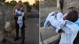 Una madre que enterró viva a su bebe es buscada por la policía