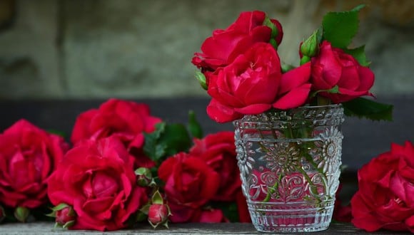 Con este truco, tus rosas cortadas se verás coloridas y saludables por más tiempo. (Foto: congerdesign / Pixabay)
