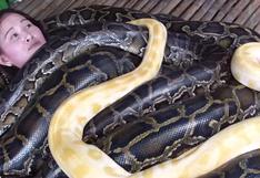 Filipinas: Un zoológico ofrece masajes con 4 enormes serpientes