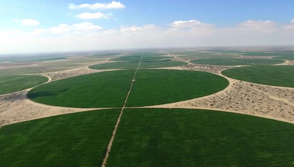 Proyecto de Irrigación Olmos.