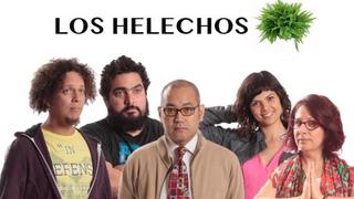 Mira aquí el tráiler de la película peruana 'Los helechos'