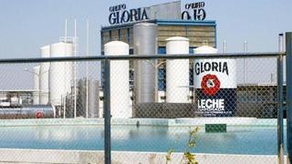 Grupo Gloria descarta contaminación de Gloria Infant en el país