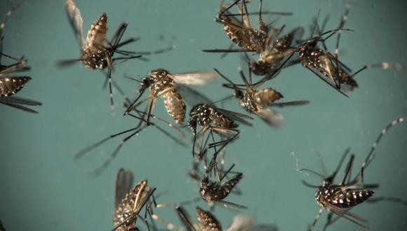 Nuevo método de biovigilancia ayuda a detectar el zika