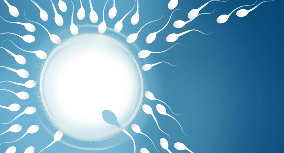 "Cada vez es más común que haya varones cuyo factor de infertilidad se deba a un bajo recuento de espermatozoides, o a su deficiente movilidad o morfología".