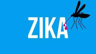 Cinco formas de protegerte del virus del Zika en el embarazo