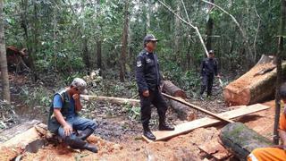 Dos hombres fueron detenidos por talar árboles ilegalmente