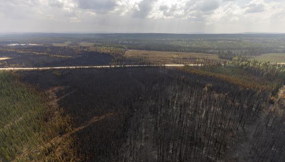 Un paisaje quemado causado por incendios forestales se muestra cerca de la entrada, área de Wild Hay, Alberta, Canadá, el 10 de mayo de 2023. (Foto de Megan ALBU / AFP)