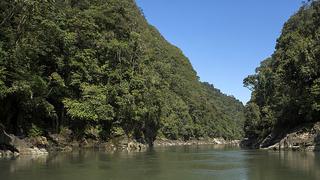 El futuro brillante del mercado de bonos de carbono en el Perú