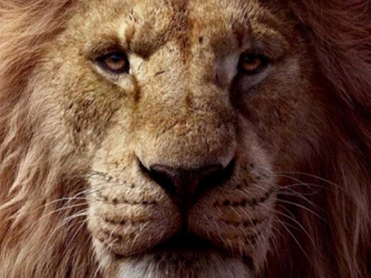 El rey león 2: fecha de estreno, tráiler, sinopsis, actores, personajes y  todo | The Lion King 2 | Estados Unidos | Video | FAMA | MAG.