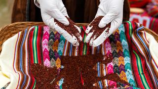Cajamarca: los agricultores de quinua que ahora producen más gracias al guano de las islas
