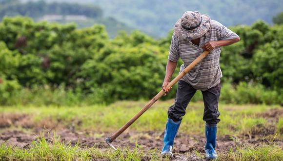 Antiguamente llamada Día del Indio, la celebración tiene más de 50 años desde su instauración. (Foto: BASF)