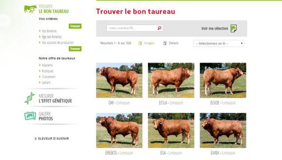 Conoce el Tinder para vacas y toros