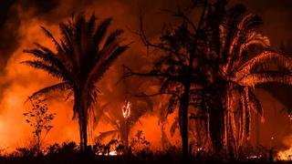 Brasil: deforestación en la Amazonía en el 2019 fue 85% mayor a la registrada el año anterior