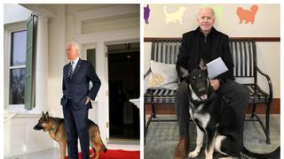 Joe Biden y la historia del primer perro rescatado que vivirá en la Casa Blanca