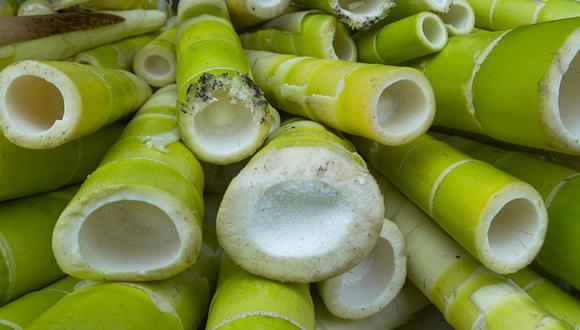 El bambú, asociado frecuentemente con los osos panda, es un ingrediente común en la gastronomía china y se prepara de diferentes maneras: encurtidos, fermentados, secos, enlatados, congelados, convertidos en jugo y polvo, y cocinados frescos como otras verduras.