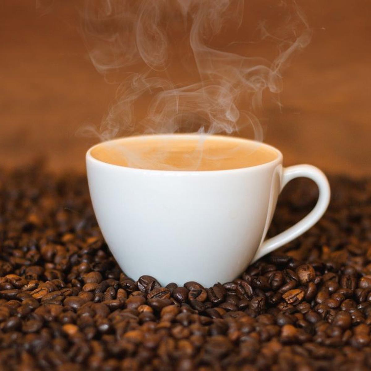 Cómo preparar una buena taza de café?