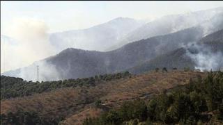 Cusco: cinco hectáreas de cobertura natural son afectadas por incendio forestal