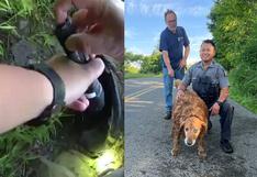 Patrullero estatal de Nueva York rescata a perro atrapado en alcantarilla