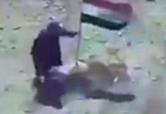 ISIS: yihadista cae en una trampa al querer retirar bandera enemiga