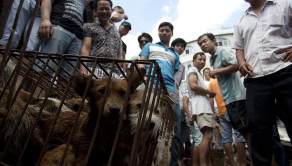 Los vendedores esperan que los clientes compren perros en jaulas en un mercado en Yulin, en la provincia de Guangxi. (Foto: STR / AFP).