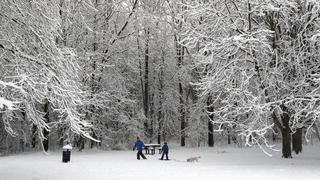 Reino Unido: Vuelos cancelados y carreteras cerradas por fuerte nevada
