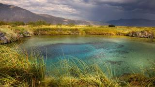 El singular paraje de México que puede tener la “cura” para el planeta (y por qué está en riesgo de extinguirse)