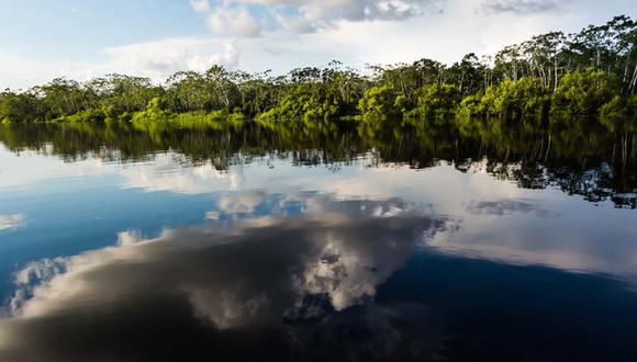 La Reserva Nacional Pacaya Samiri, ubicada en Loreto, es uno de los destinos nacionales nominados en los Green Destinations People's Choice Awards 2023. (Foto: Shutterstock)