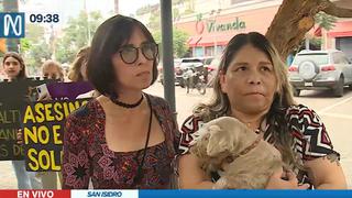 Vecinos de San Isidro denuncian envenenamiento de gatos
