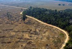 Reforestación de la sierra peruana: una solución para proteger nuestra Amazonía