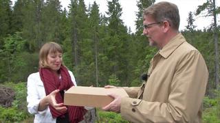 Conoce el bosque de Noruega donde crece la "biblioteca del futuro" [VIDEO]