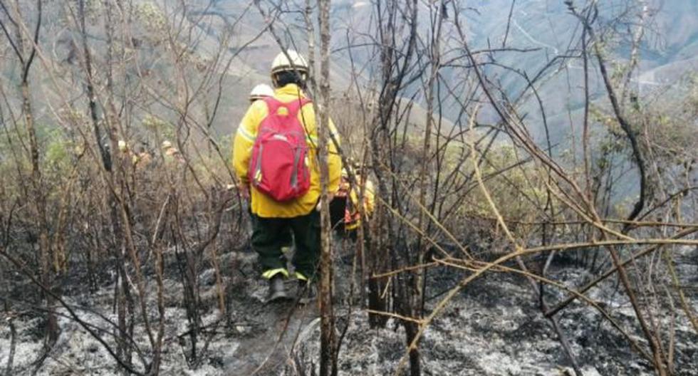 Unos 87 agentes especializados en incendios forestales trabajaron desde esta madrugada para mitigar la expansión del fuego. (Indeci)
