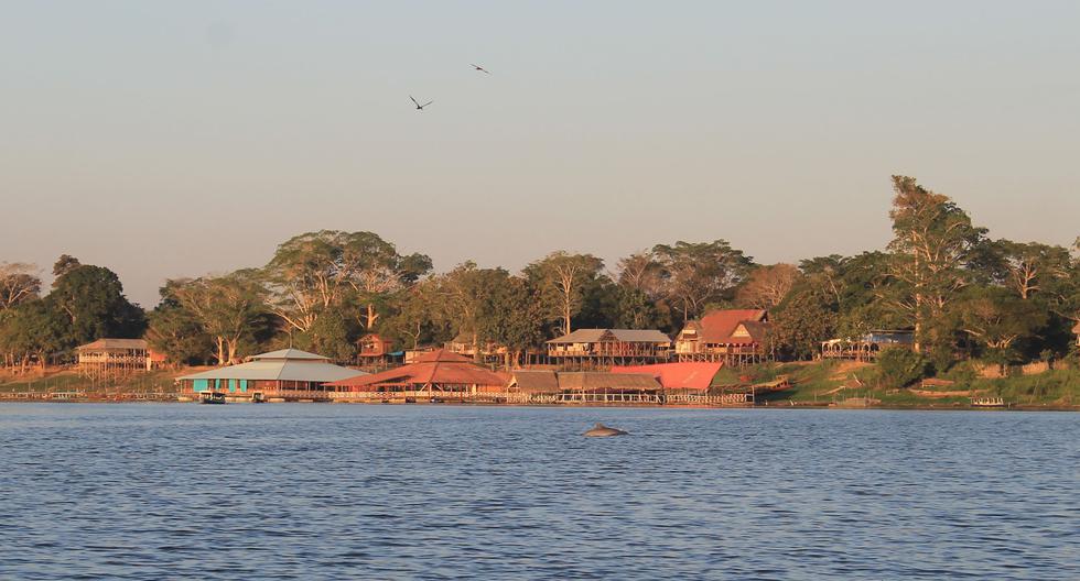 Embárcate en una aventura por la laguna Yarinacocha, el emblema de Pucallpa, donde puedes avistar delfines rosados.