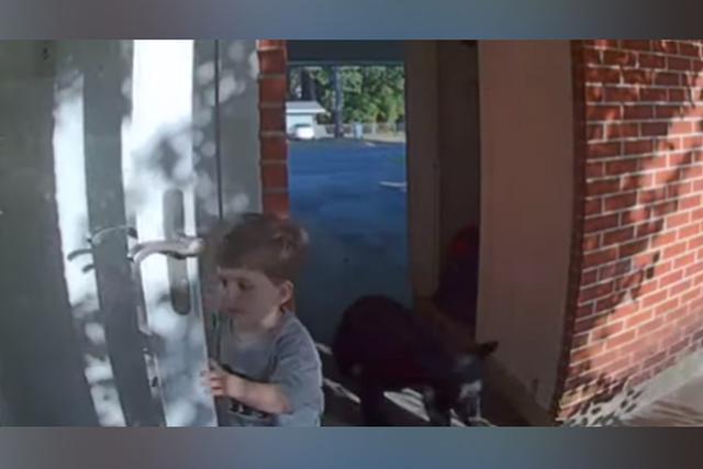 El niño jamás imaginó encontrarse con un oso en la puerta de su casa. (YouTube: ViralHog)