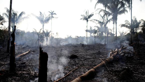 Los incendios en la Amazonía de Brasil han marcado un récord en lo que va del año. (Reuters).
