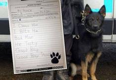 Perro policía 'firma' una declaración como testigo en un crimen