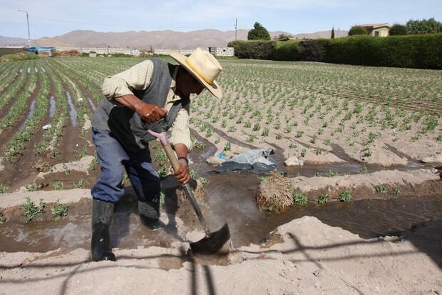 Los ciudadanos que se encuentren en la zona rural recibirán el bono en una sola armada (Foto: GEC)