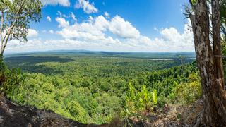 Guyana: Un lugar encantador para unas cálidas vacaciones