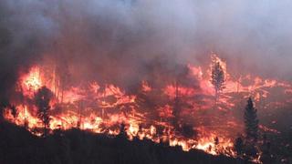 Gigantesco incendio consume 467.000 hectáreasen Canadá