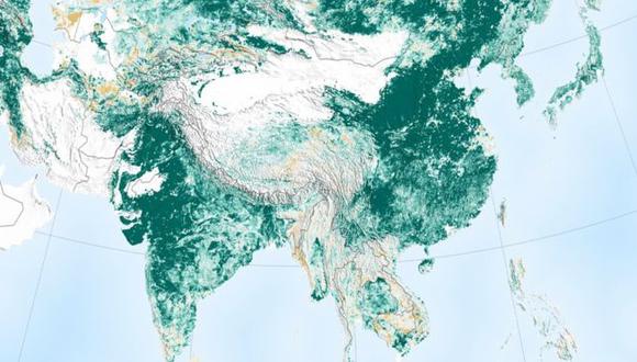 Las imágenes de la NASA muestran que hoy el planeta es más verde. (Créditos: Nasa)