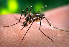 Confirman muerte por dengue de 13 personas en el Perú durante 2015