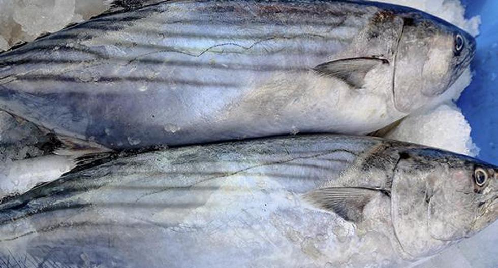 Algunos pescados tienen más omega 3 que otros. (Foto: A Comer Pescado)