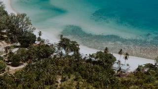 El espeluznante hallazgo que realizó un turista en el inodoro de un paradisíaco hotel de Tailandia