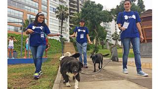 Eventos con mascotas para este fin de semana